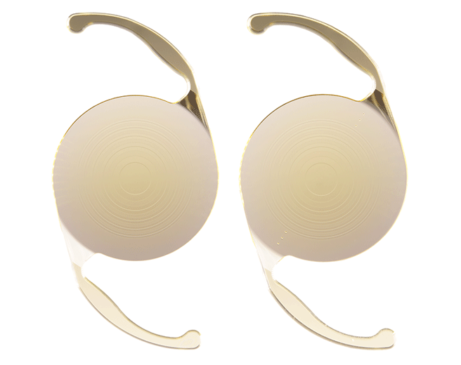 パンオプティクス